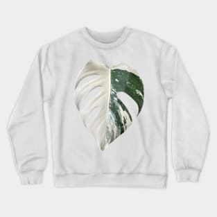 Marbled Monstera Albo Finestrated Design Crewneck Sweatshirt